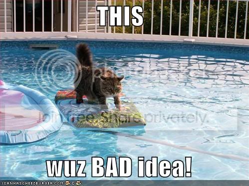 funny-pictures-cat-surfing-pool.jpg