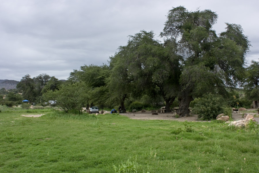 oak-flats_20Jul08_1995.jpg