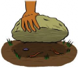 sigpic20112_2.gif