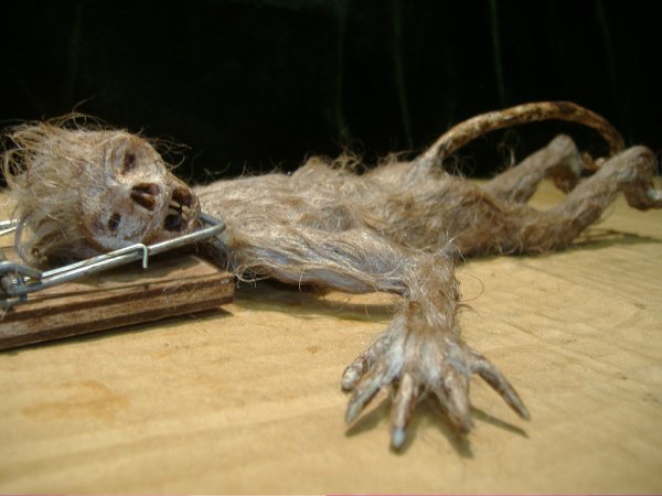 rat-man-in-trap.jpg