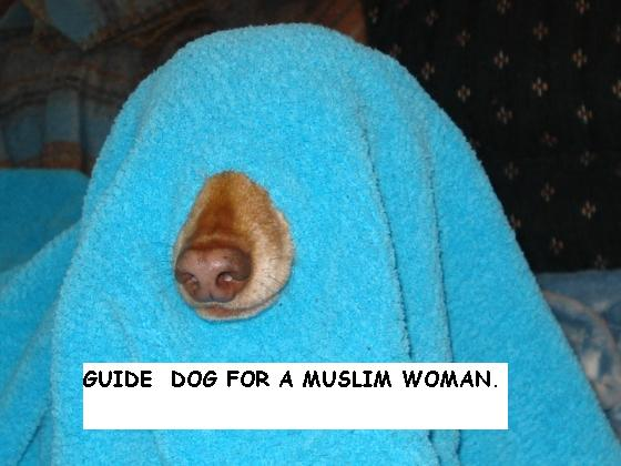 euRKx.png
