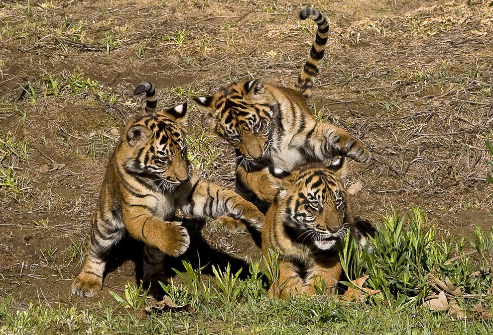 z03_18422425.jpg
