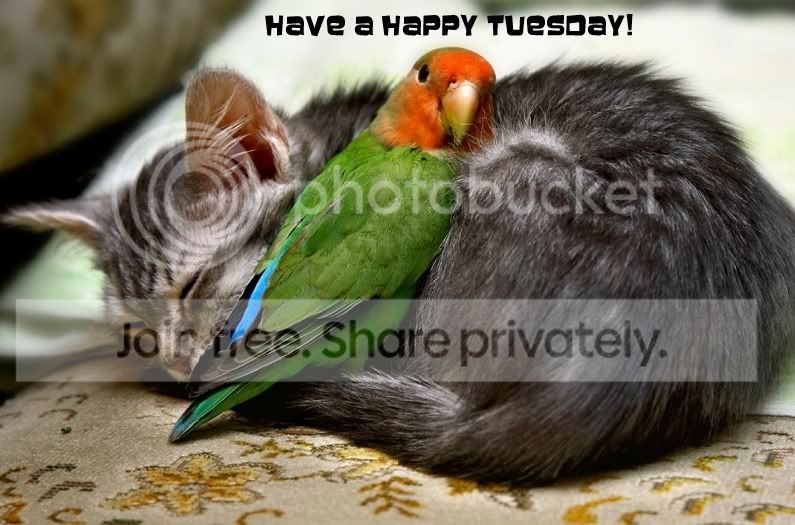 HaveaHappytuesday.jpg