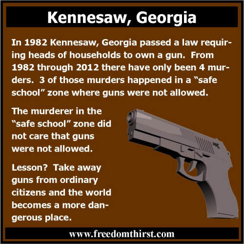 Kennesaw_Georgia_Guns500O.jpg