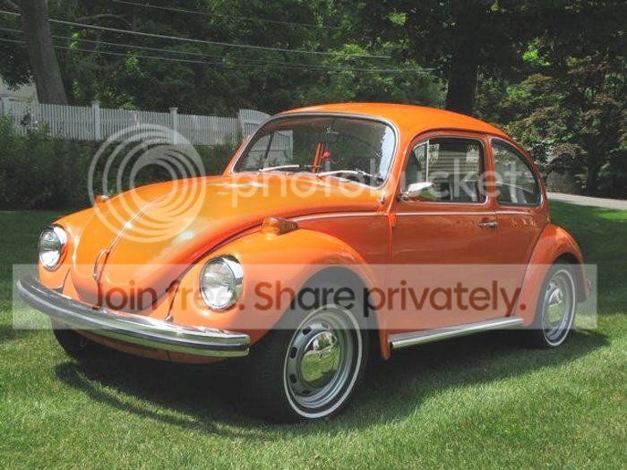 Orange1-1.jpg