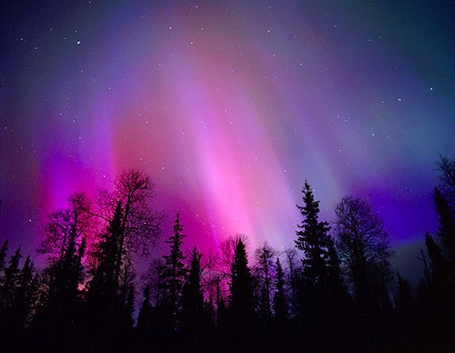 purple+aurora.jpg