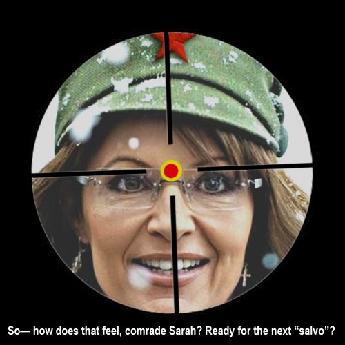 palin-targeted.jpg