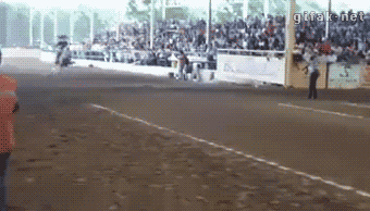 ff0hZDP.gif