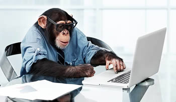 monkey_testing.jpg