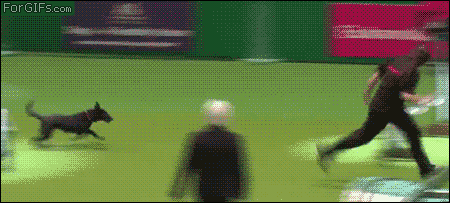 e6Wduk3.gif