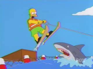 Homer+Jump+Shark.jpg