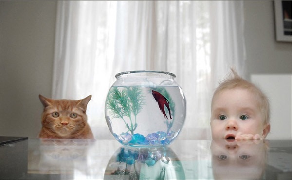 cat-child-and-fish-3-views.jpg