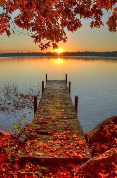autum-awesome-beach-beautiful-Favim.com-1023109.jpg