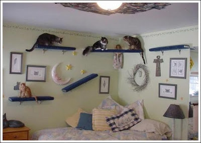 cat_walkways_28.jpg