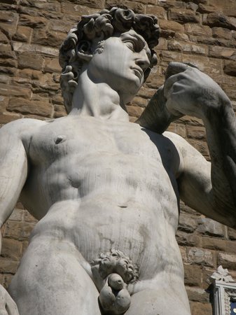 michelangelo-s-david.jpg