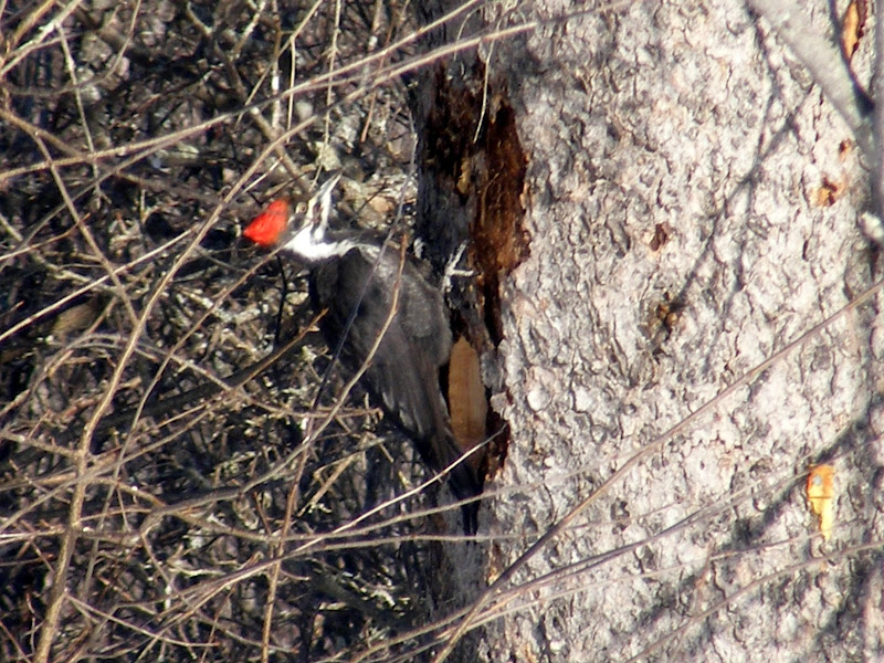 DSCF0400.JPG