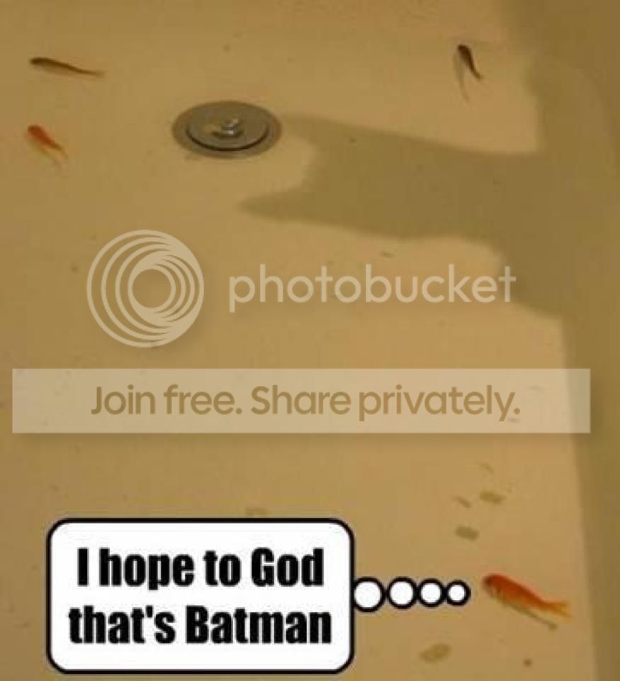 Goldfishbatman_zpscf5fe614.jpg