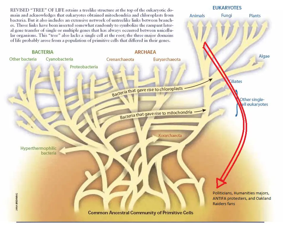 upload_2017-11-27_8-44-50-png.162942