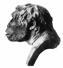 687C4-trinil-man.gif