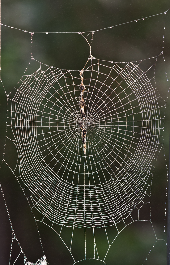 web2_blog.jpg