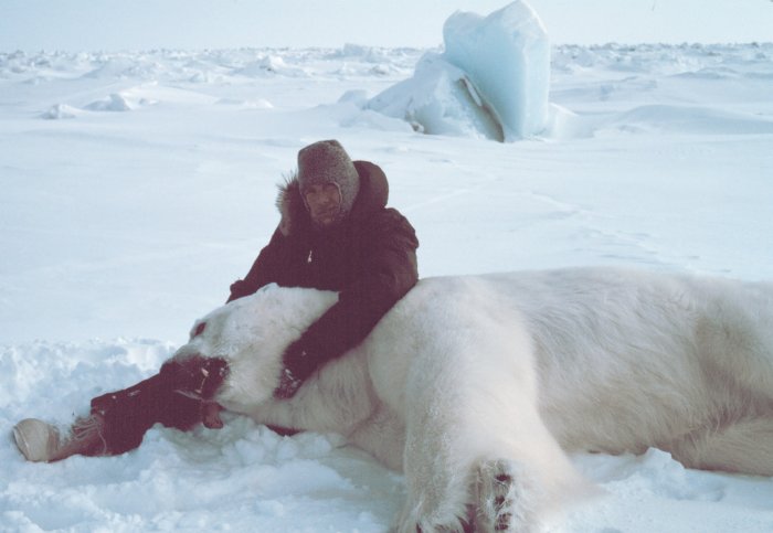 polar-bear-heat.jpg