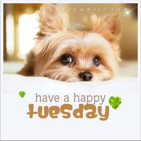 83895-Have-A-Happy-Tuesday.jpg