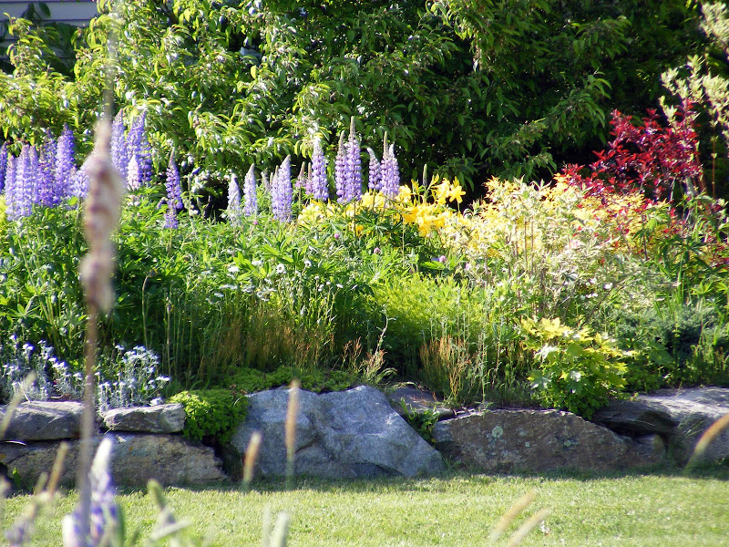 DSCF2584.jpg