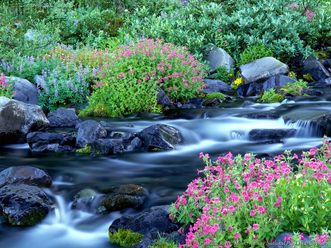 270797,xcitefun-most-beautiful-nature-wallpapers002.jpg