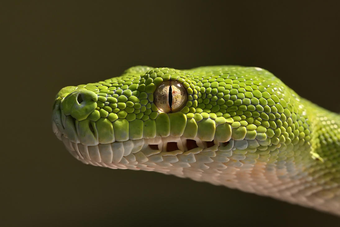 smile_with_me_by_elkapl-d6xwiha.jpg