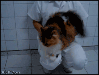 tky8J2Z.gif
