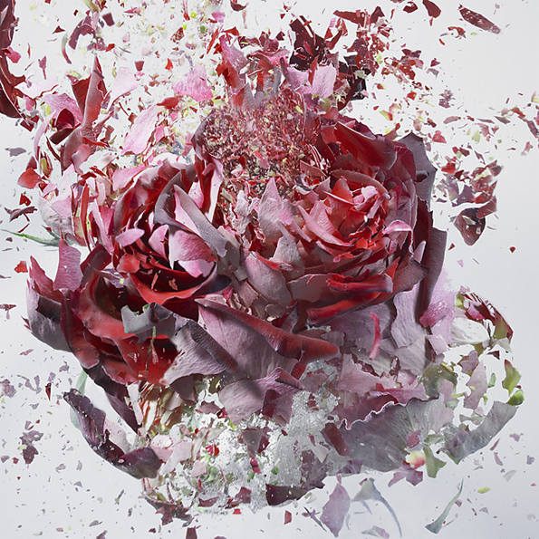 exploding-flowers-2.jpg