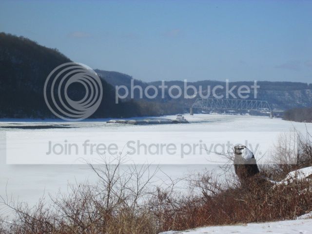 IMG_1545.jpg