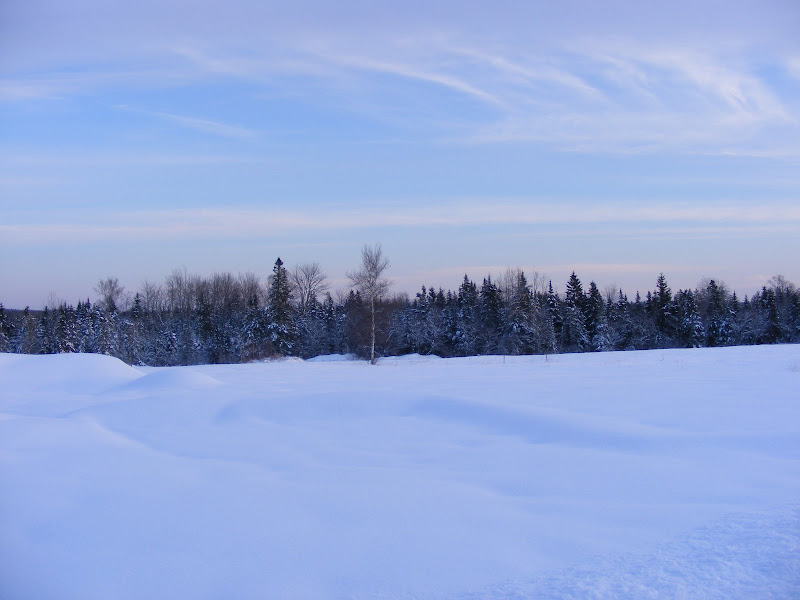 DSCF0173.JPG