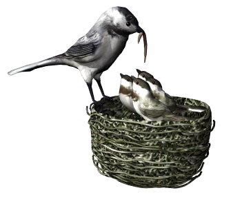 chickadees_worm_hungry_hg_wht.gif