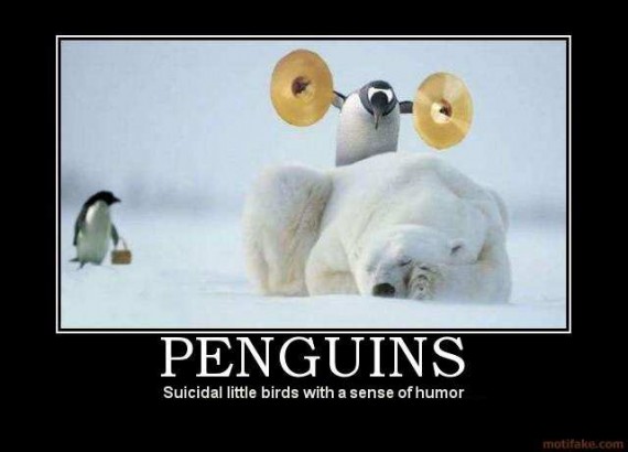 penguins-570x410.jpg