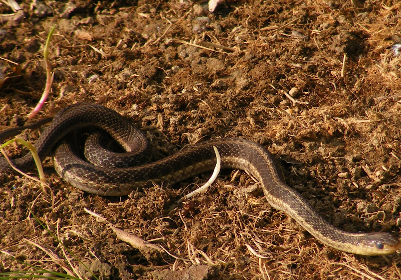 DSCF1357.JPG