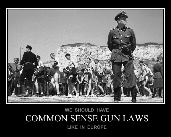 Poster-common-sense-gun-laws-in-europe.jpg