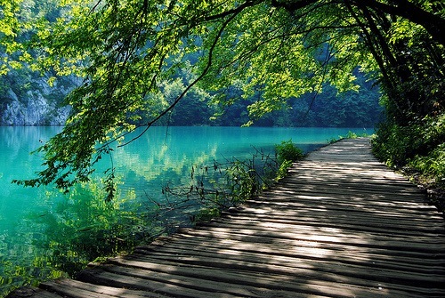 beautiful-love-nature-pretty-Favim.com-299754.jpg