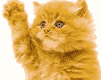 avt31.gif