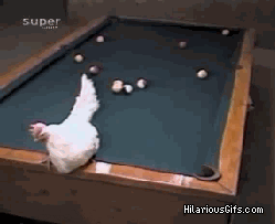 RyJp2.gif