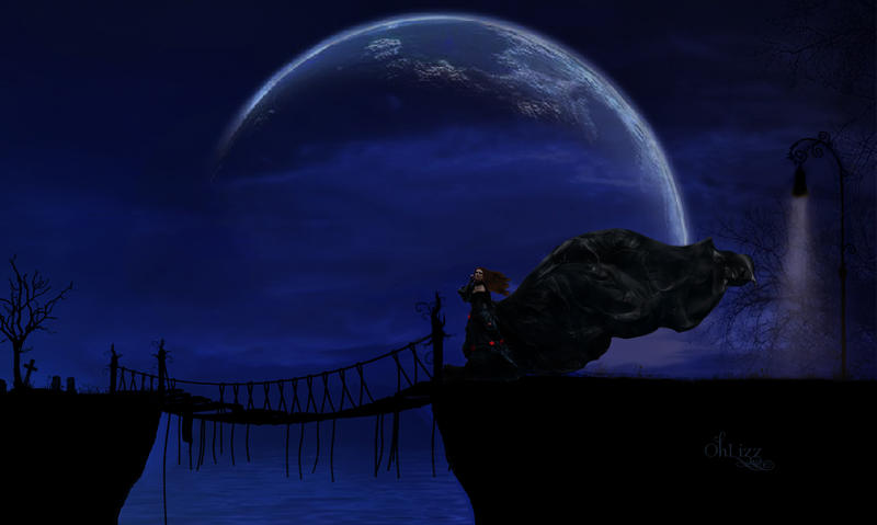 crossing_by_ohlizz-d9dltop.jpg