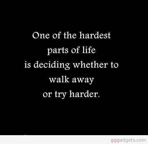 9095b46ceda9c8427ec88968606ab249.jpg