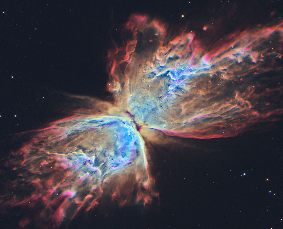 butterflyblue_hst_960.jpg