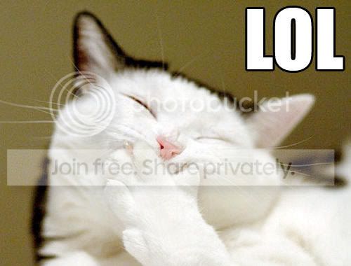 Laughing-lol-cat.jpg