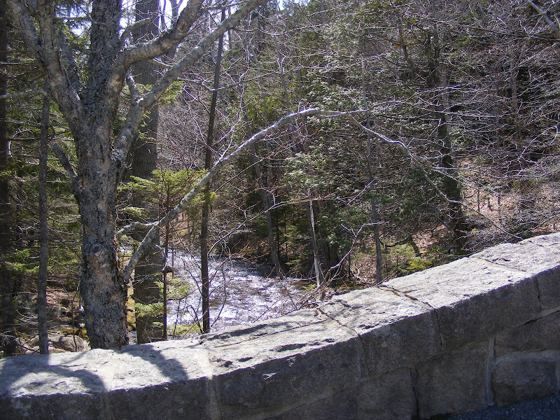 DSCF0264.jpg