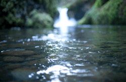 tumblr_nk49v2wMek1t4kgqto1_250.gif
