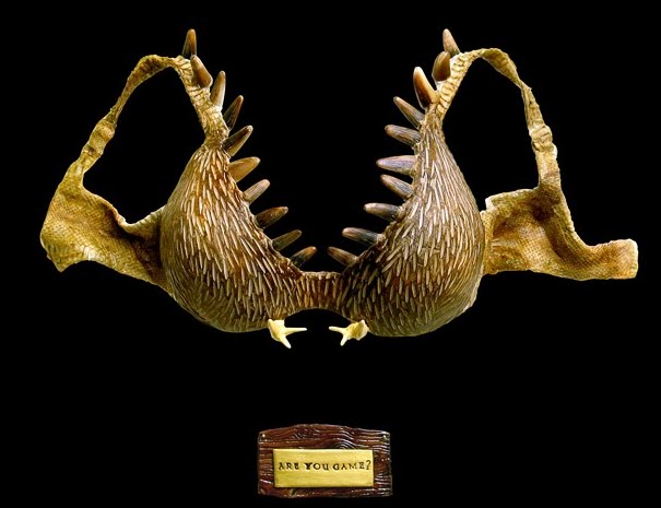 Antler+bra.jpg