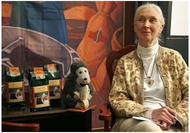 jane-goodall-coffee.jpg