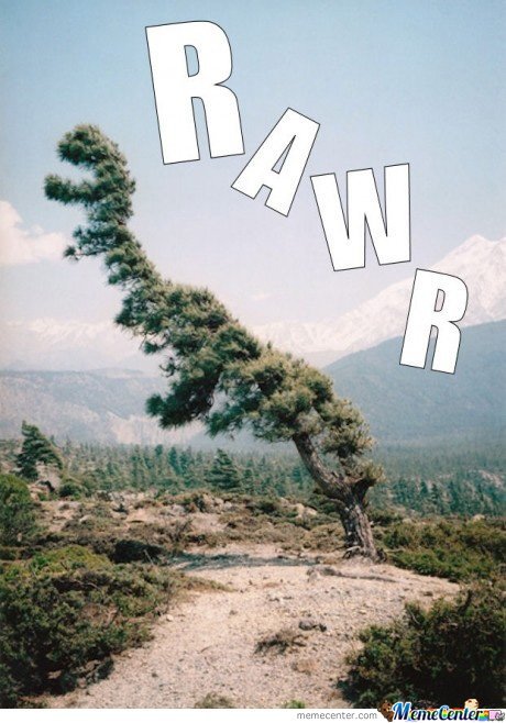 1w0WTYh