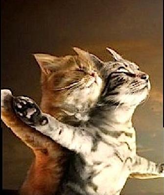 dancing-cats-21.jpg